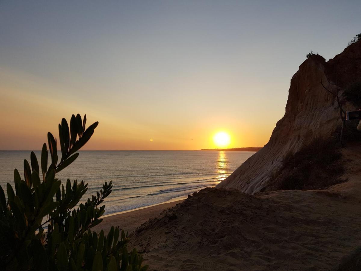 Excellent T2 Apartment With Pools 400M Falesia Beach Albufeira Eksteriør billede